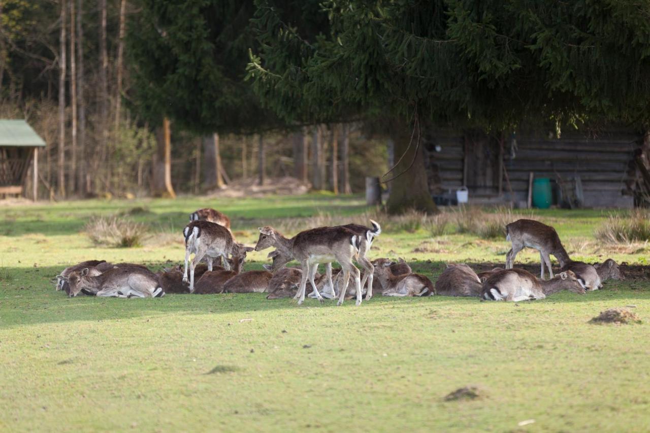 Forsthaus Woernbrunn Otel Grünwald Dış mekan fotoğraf